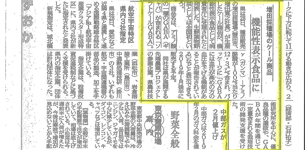 全国初！生鮮葉物野菜の機能性表示食品『ソフトケールGABA（ギャバ）』が、静岡県庁ホームページ・静岡新聞に掲載されました。